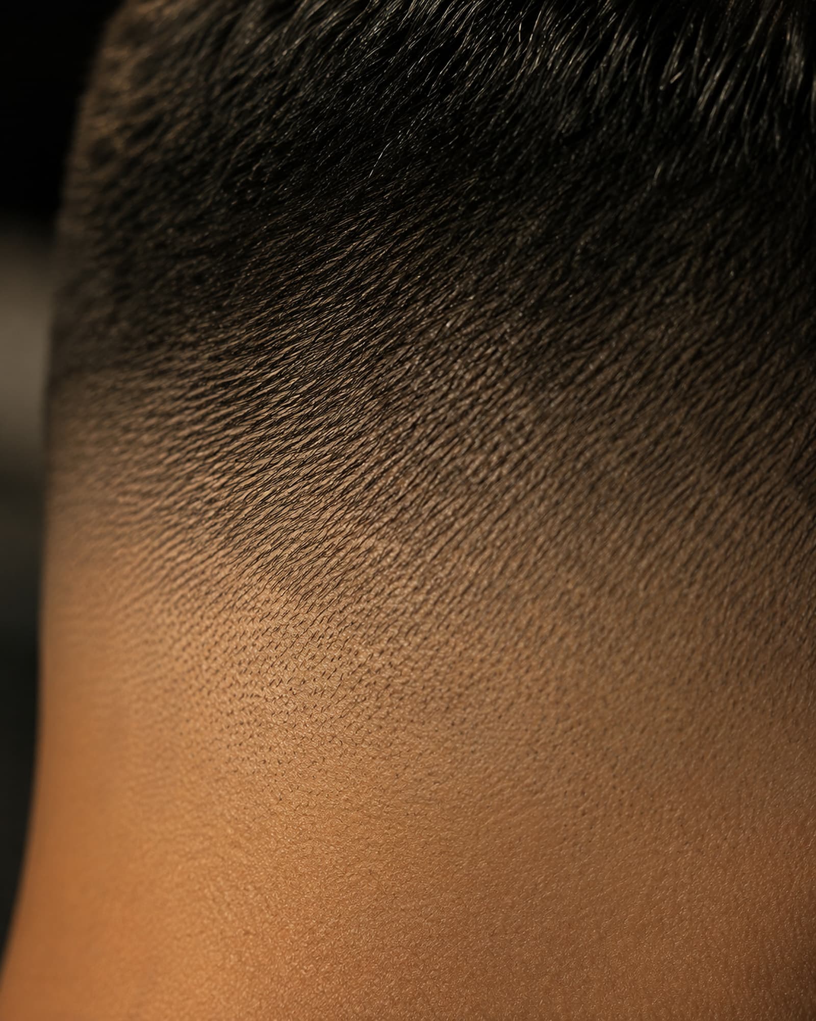 Close detail of a fade blending from skin into length, shot in raking light