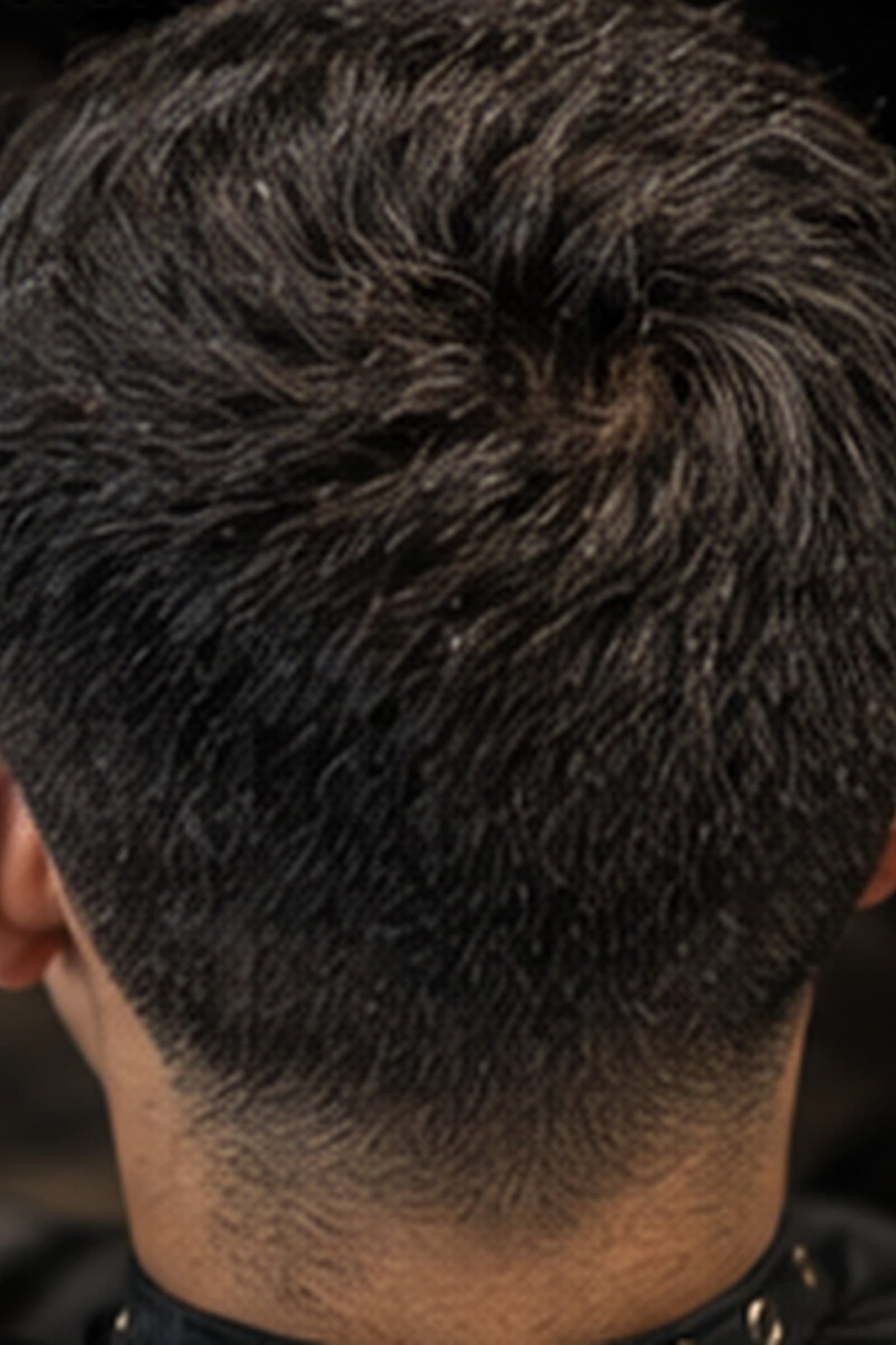 The same client before the cut, grown out roughly five weeks