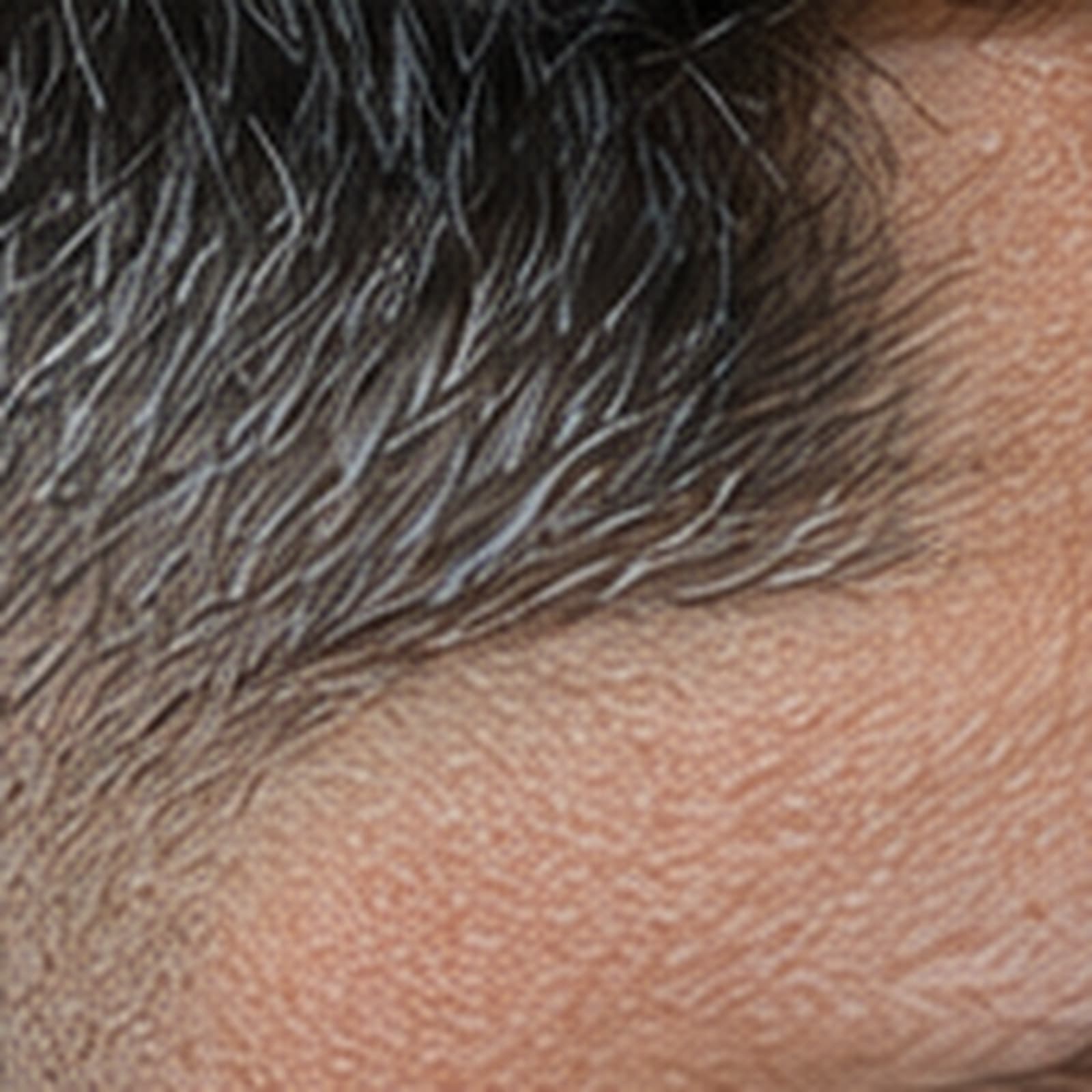 Temple detail showing softened grey blended into natural dark hair